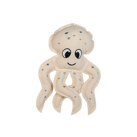 Ab canvas octopus