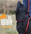 Ani easy walk aa