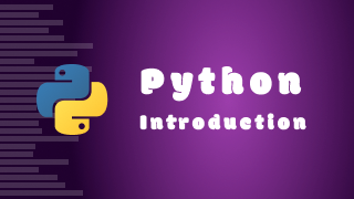 Introduction to Python logo