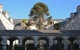 Convent of the Visitation