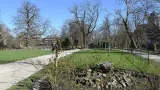 Botanical garden