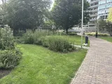 Jan Evertsenplaats