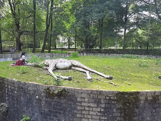 Berenkuil