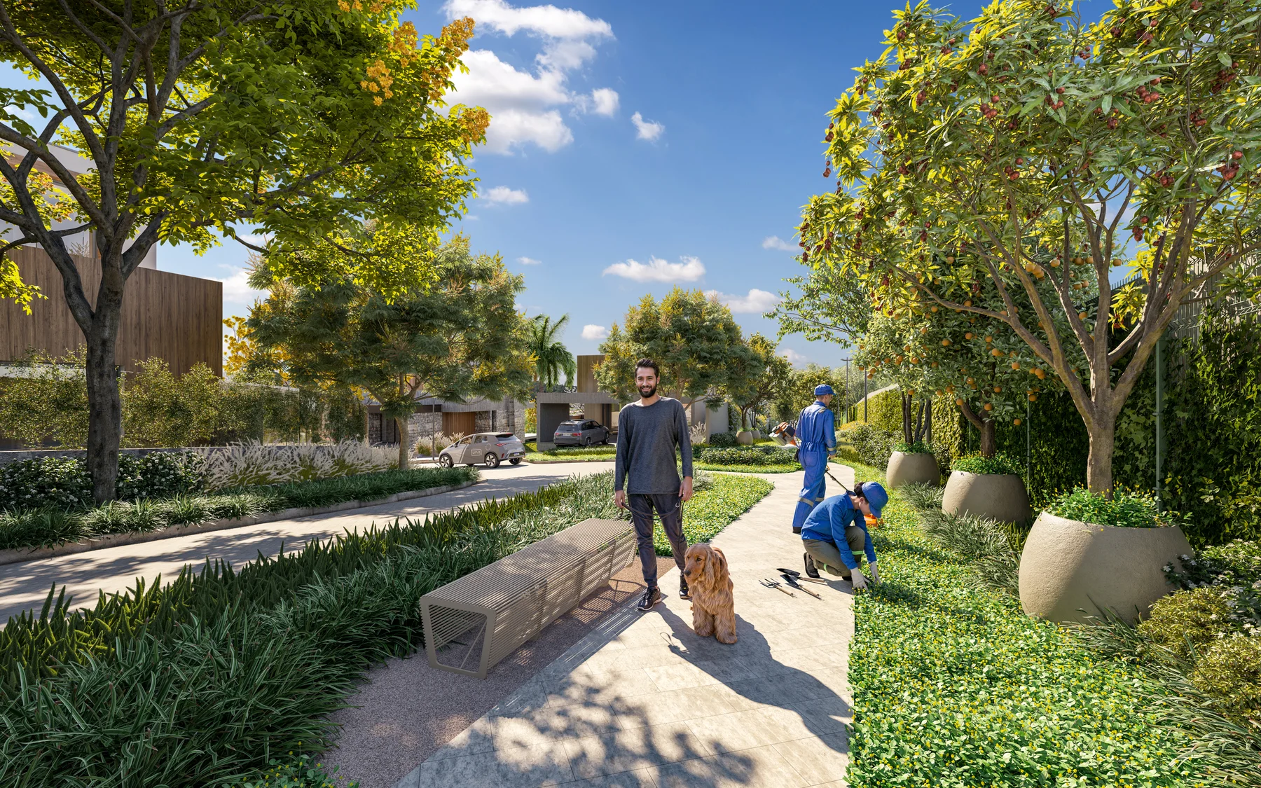 Setor residencial — vista aérea