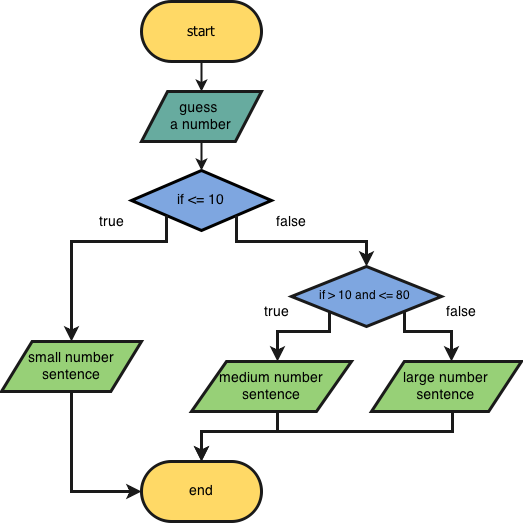 Conditional Flow Chart Example