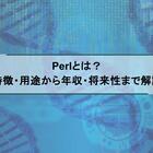 Perlとは？ 特徴・用途から年収・将来性まで解説