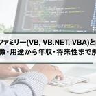 VBファミリー(VB, VB.NET, VBA)とは？特徴・用途から年収・将来性まで解説