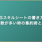 SESスキルシートの書き方｜案件数が多い時の集約術と粒度