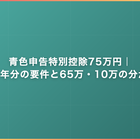 青色申告特別控除75万円｜令和9年分の要件と65万・10万の分かれ目