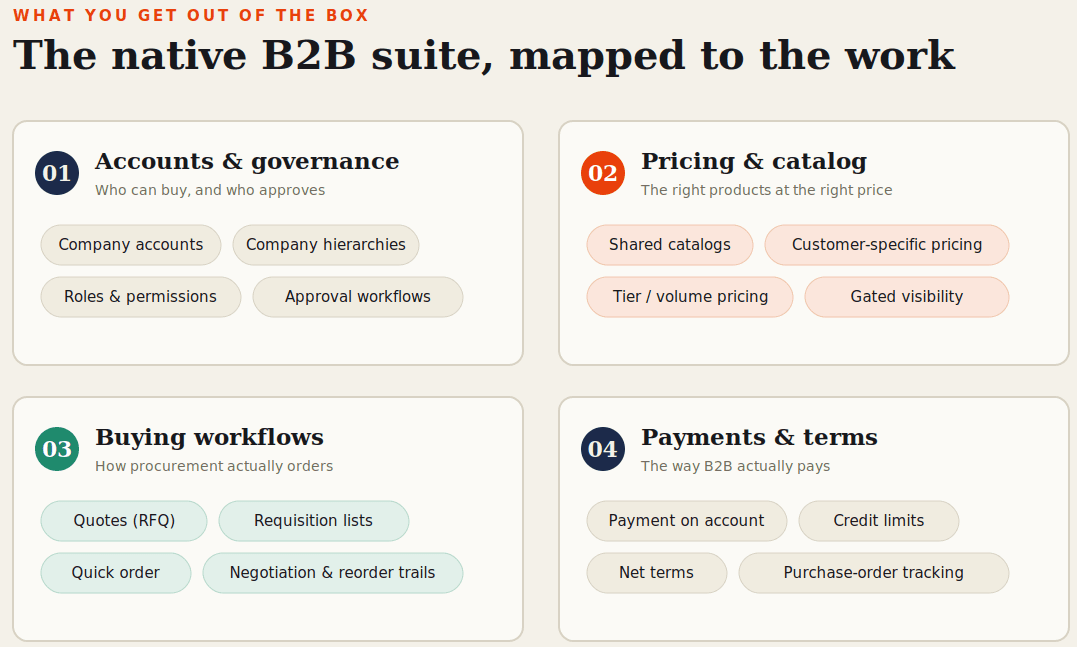 The native Adobe Commerce B2B suite grouped into accounts and governance, pricing and catalog, buying workflows, and payments.