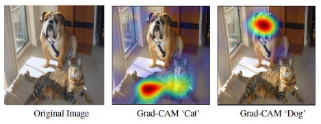 Interpret Predictions Of ML Models