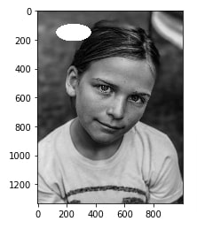 How to Draw Shapes on Images using Scikit-Image [Python]?