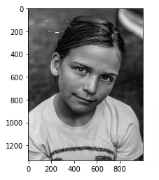 How to Draw Shapes on Images using Scikit-Image [Python]?
