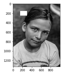 How to Draw Shapes on Images using Scikit-Image [Python]?