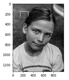 How to Draw Shapes on Images using Scikit-Image [Python]?