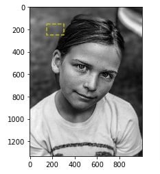 How to Draw Shapes on Images using Scikit-Image [Python]?