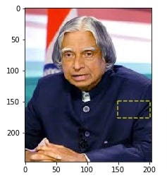 How to Draw Shapes on Images using Scikit-Image [Python]?