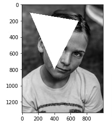 How to Draw Shapes on Images using Scikit-Image [Python]?