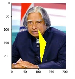 How to Draw Shapes on Images using Scikit-Image [Python]?