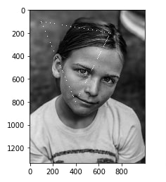 How to Draw Shapes on Images using Scikit-Image [Python]?