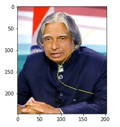 How to Draw Shapes on Images using Scikit-Image [Python]?