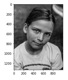How to Draw Shapes on Images using Scikit-Image [Python]?
