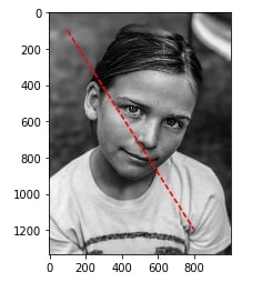 How to Draw Shapes on Images using Scikit-Image [Python]?