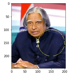 How to Draw Shapes on Images using Scikit-Image [Python]?