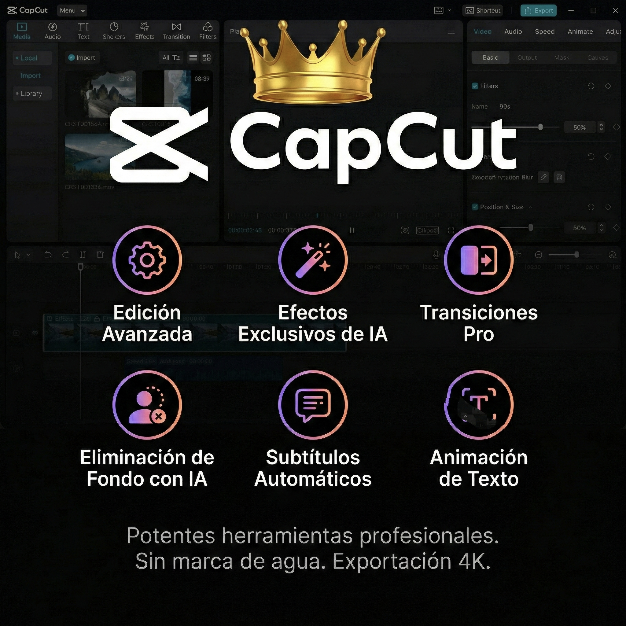 CapCut Pro