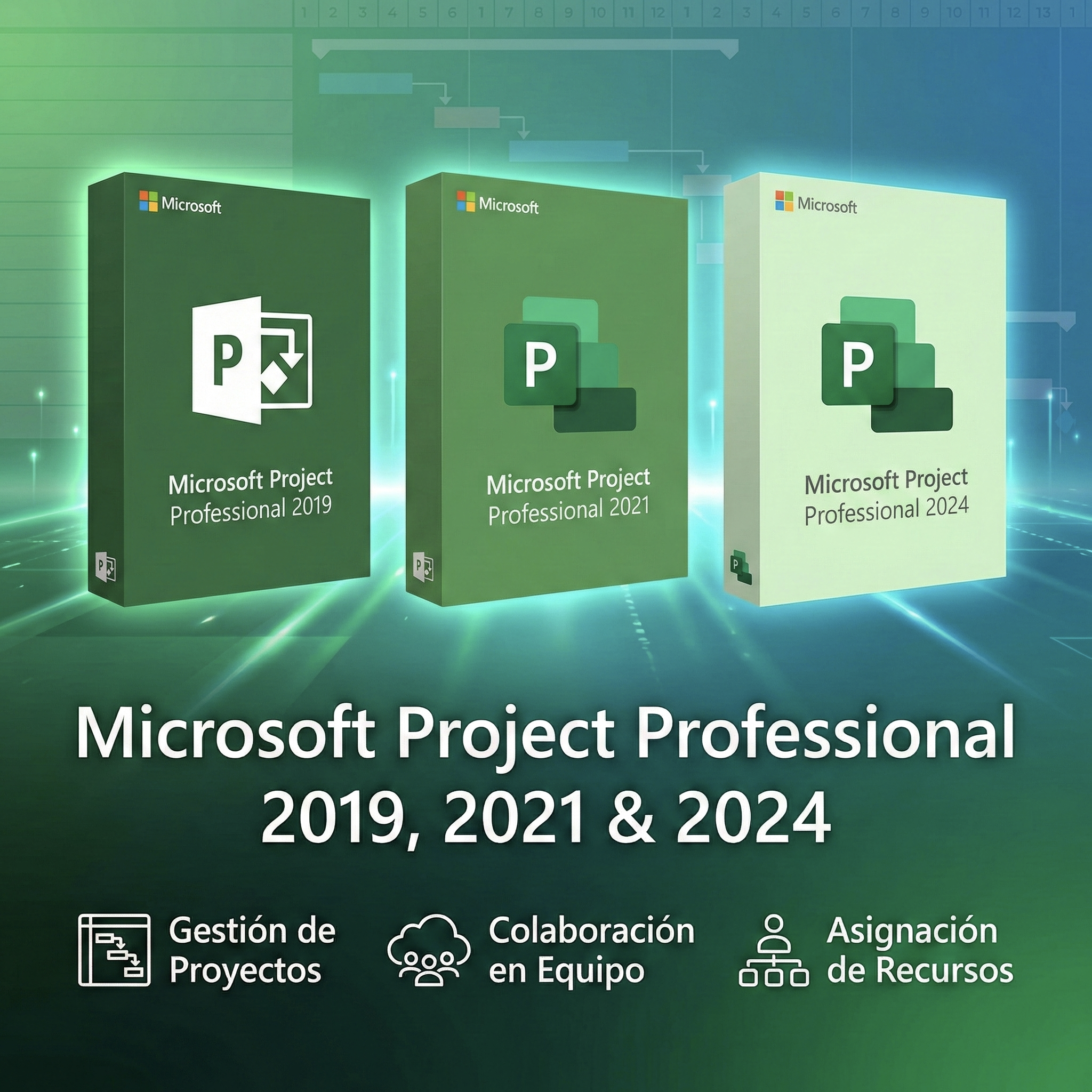 Microsoft Project Professional