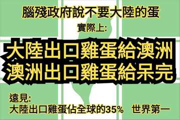 腦殘政府說不要大陸的蛋
實際上:
大陸出口雞蛋給澳洲
澳洲出口雞蛋給呆完
遠見:⋯⋯