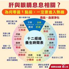 肝與眼睛息息相關?
為何零晨1點前,一定要進入熟睡
膽汁新陳代謝
造血、血液淨化⋯⋯