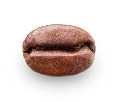 Coffee Lover