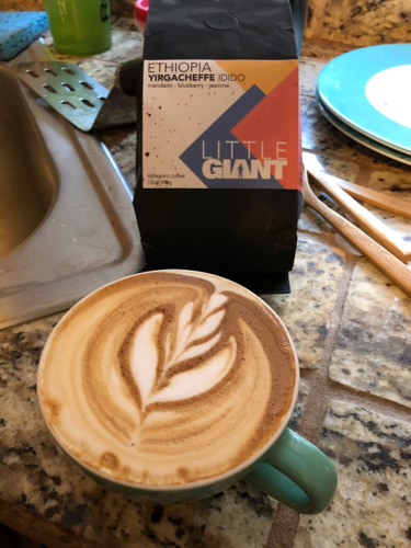 Hard to taste the blueberrys, but I taste mostly florials and the jasmine notes. Maybe a touch of the mandarin, with a shorter shot the acidity will probably carry in more of that Mandarin flavor. Can’t wait to see what little giant brings next!!