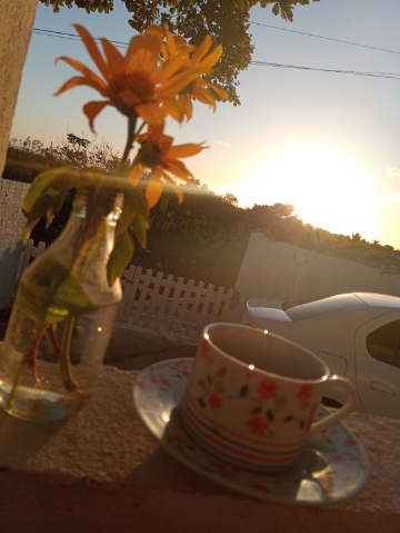 Um café coado com o nascer do sol ☕🌻☀️