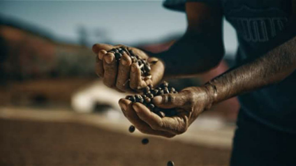 14/04 Dia Internacional do Café! 