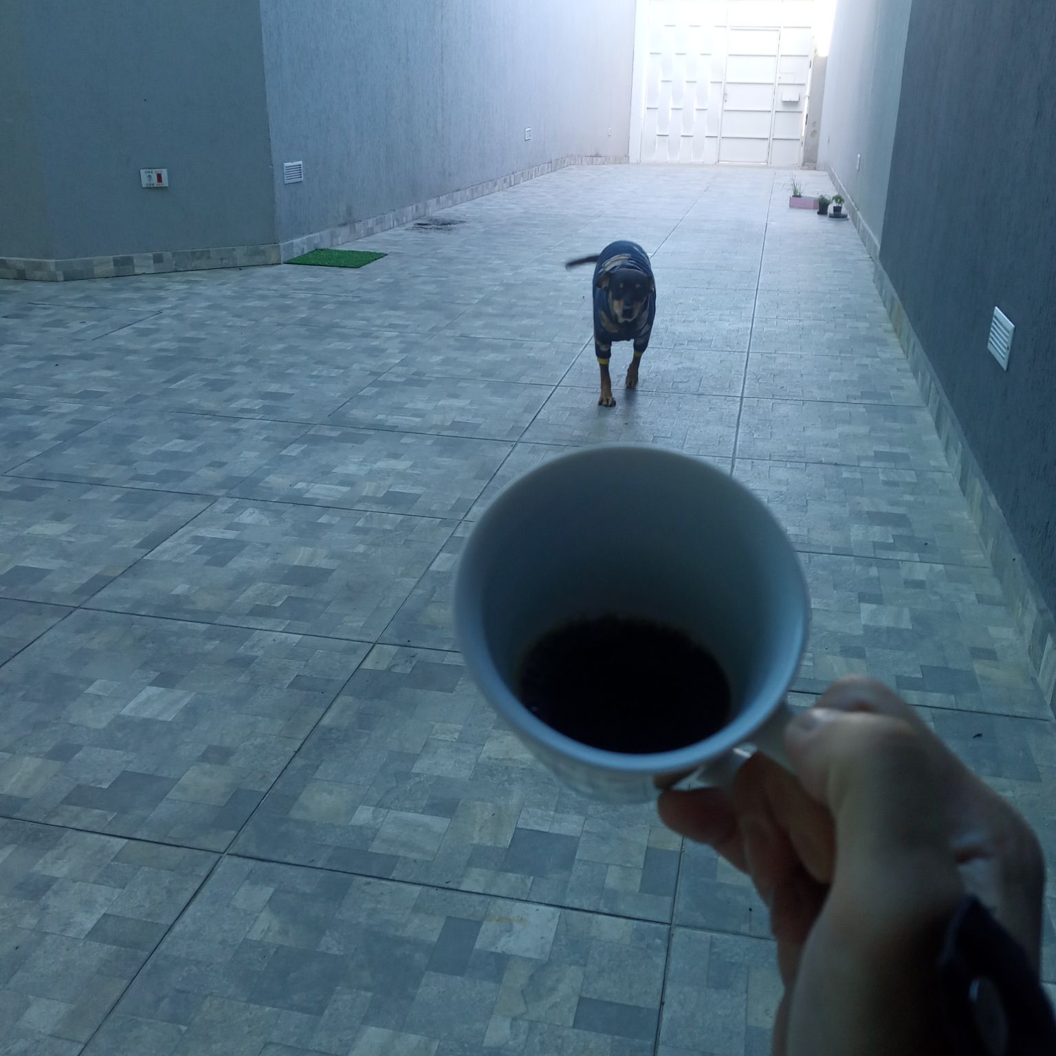 Coffee photo review barista cafe specialty coffee