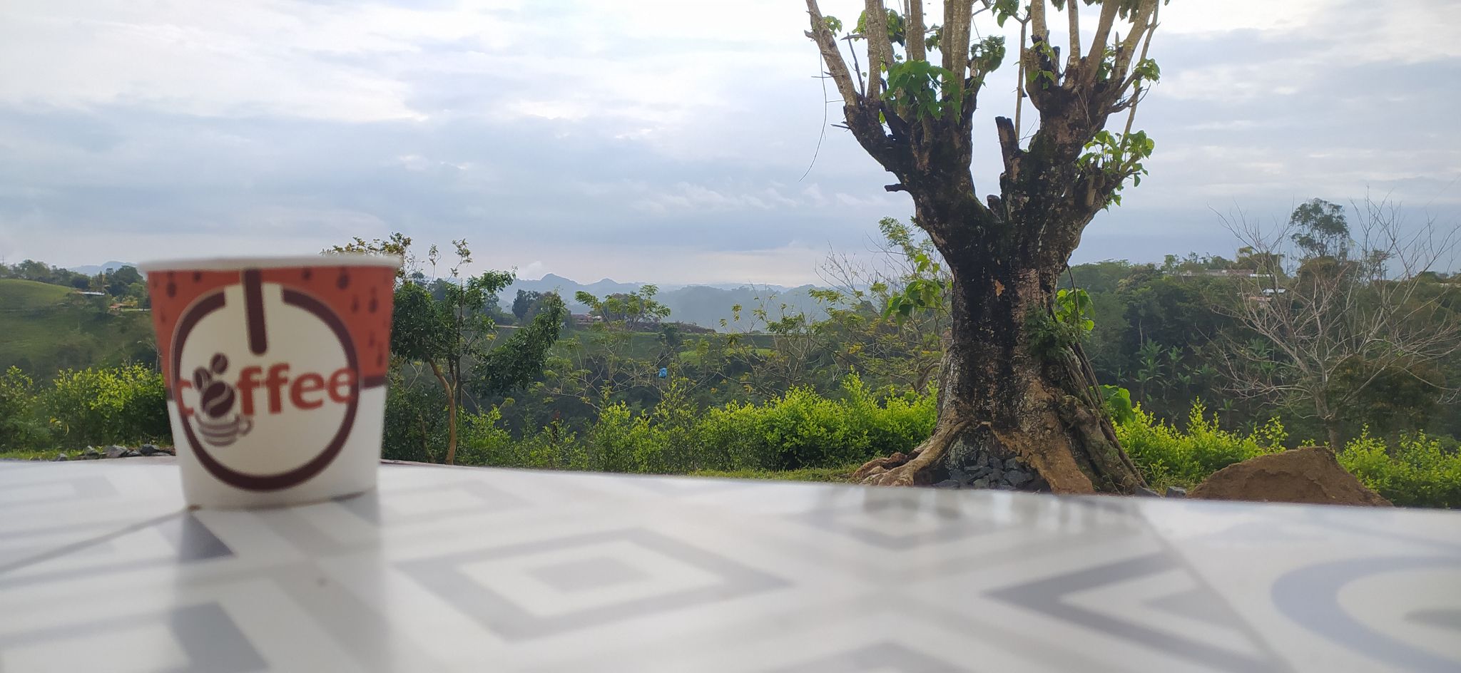 Siempre sera muy bueno tomarme una taza de café contemplando el paisaje.
