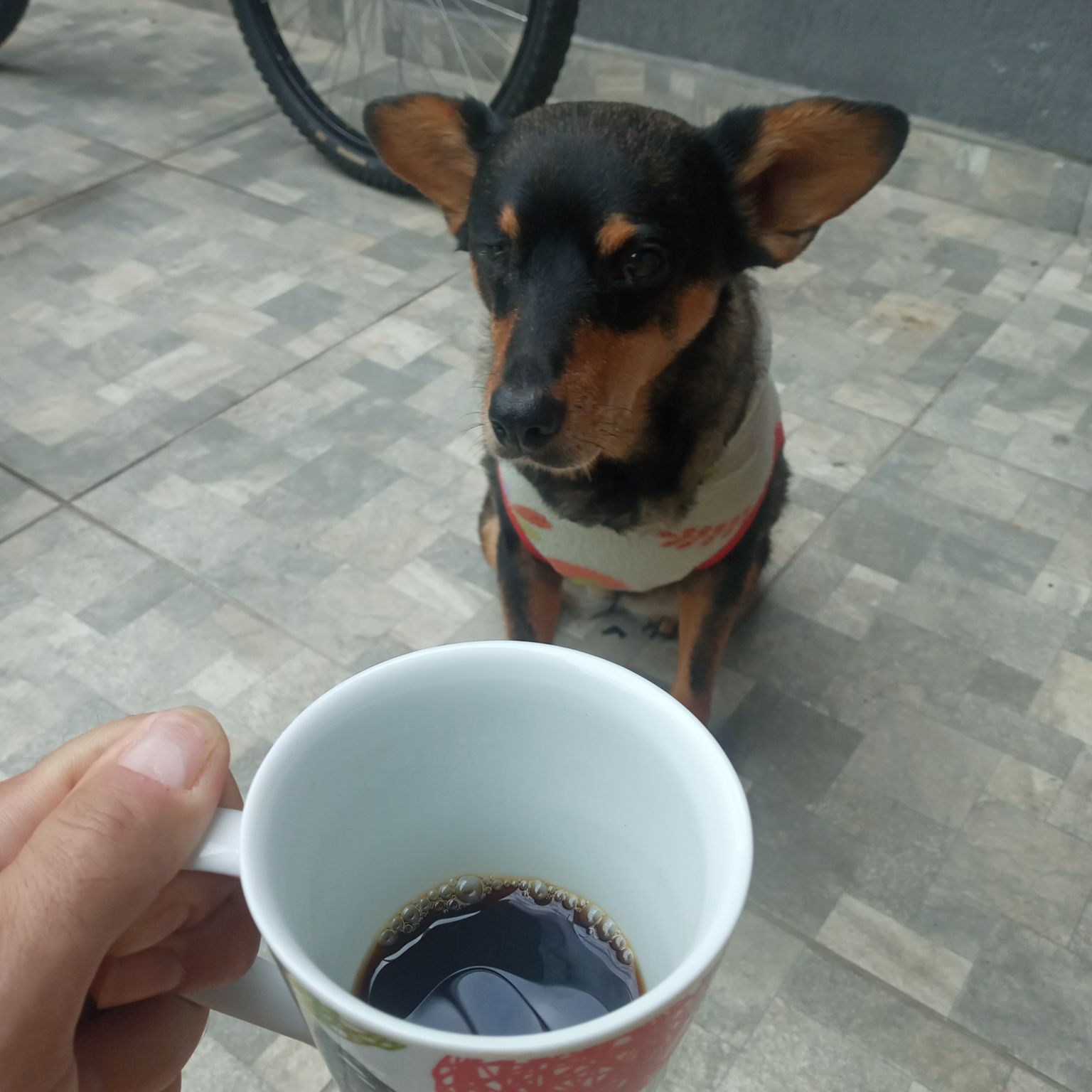 Melhores companhias.

