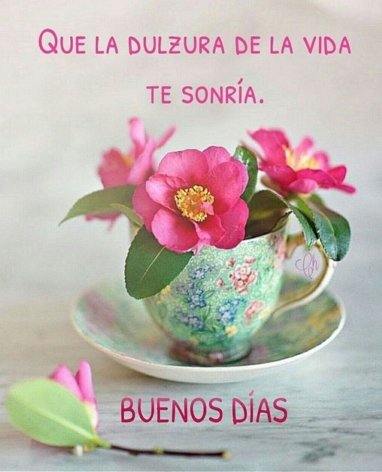 La vida es bella y disfrututando un buen cafe / mejor aun👍👍👍❤❤❤🔥🔥🔥🔥🥰🥰🥰.