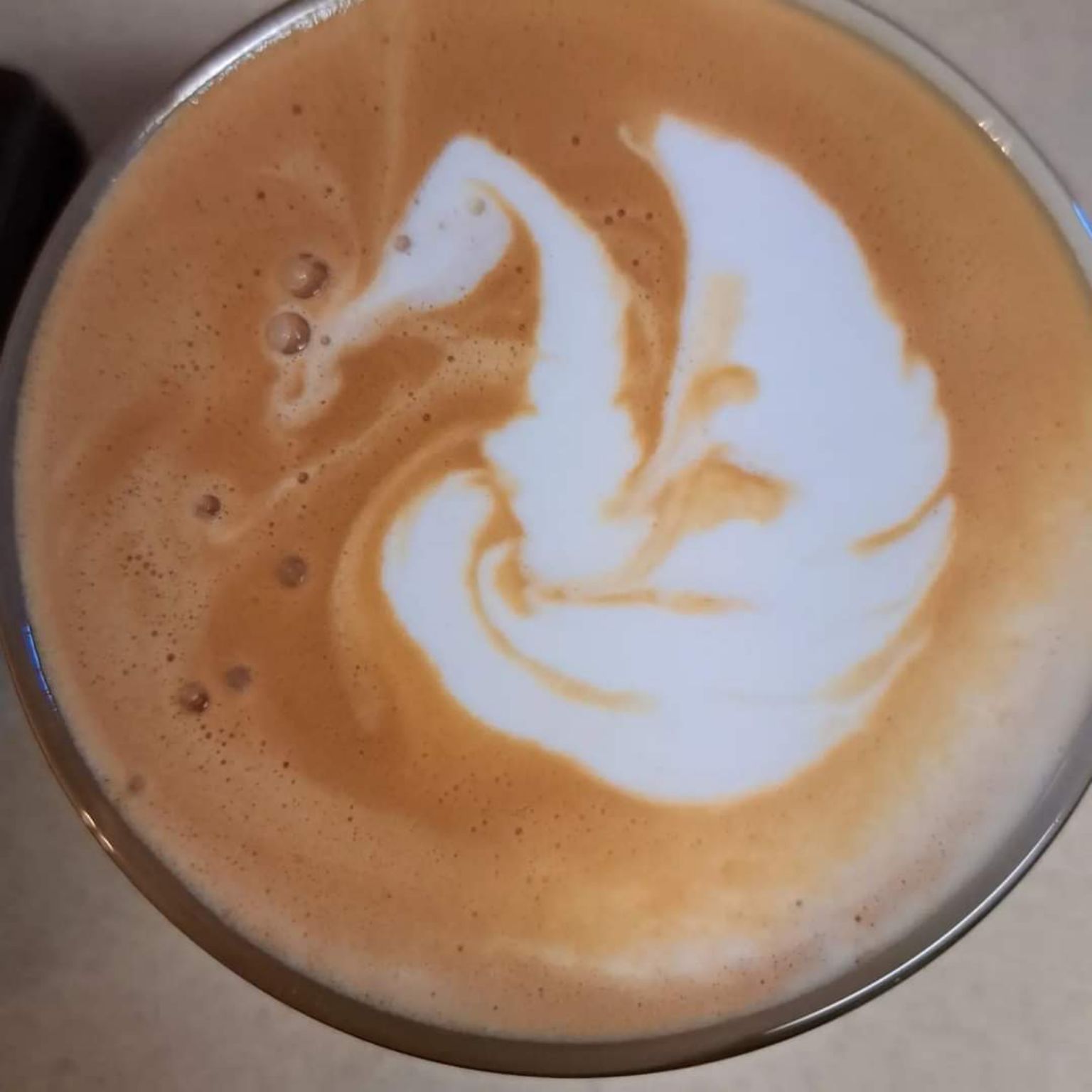 Early morning when everyone else is still asleep is my favorite time for coffee!! This is my very first attempt at a swan
