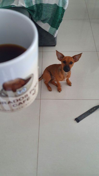 Sempre que recebo um café novo testo em vários métodos diferentes. E essa é a receita de partida no Melittão da massa. Daí vou ajustando.