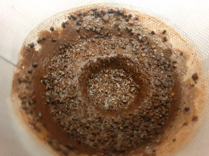 Coffee photo review barista cafe specialty coffee