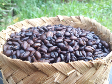 Indonesia traditon roasted bean