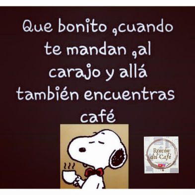 Coffee photo review barista cafe specialty coffee