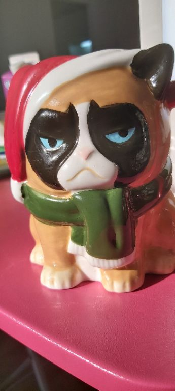 2019 Starbucks' Christmas Blend (Smokey and Velvety, yummy Dark Roast) brewed in my GROSCHE Moka Pot and drunk from my NEW Grumpy Cat Christmas Mug :D
Mmm Life is good this morning !!! He look SO Happy there, in the Sun hehehe