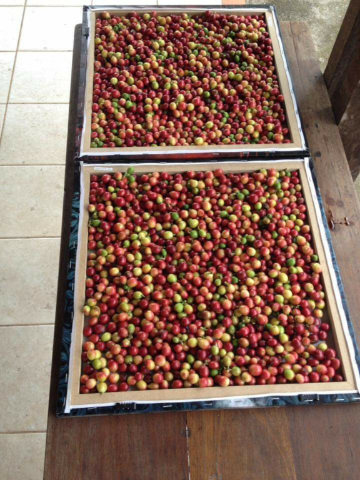 Coffee photo review barista cafe specialty coffee