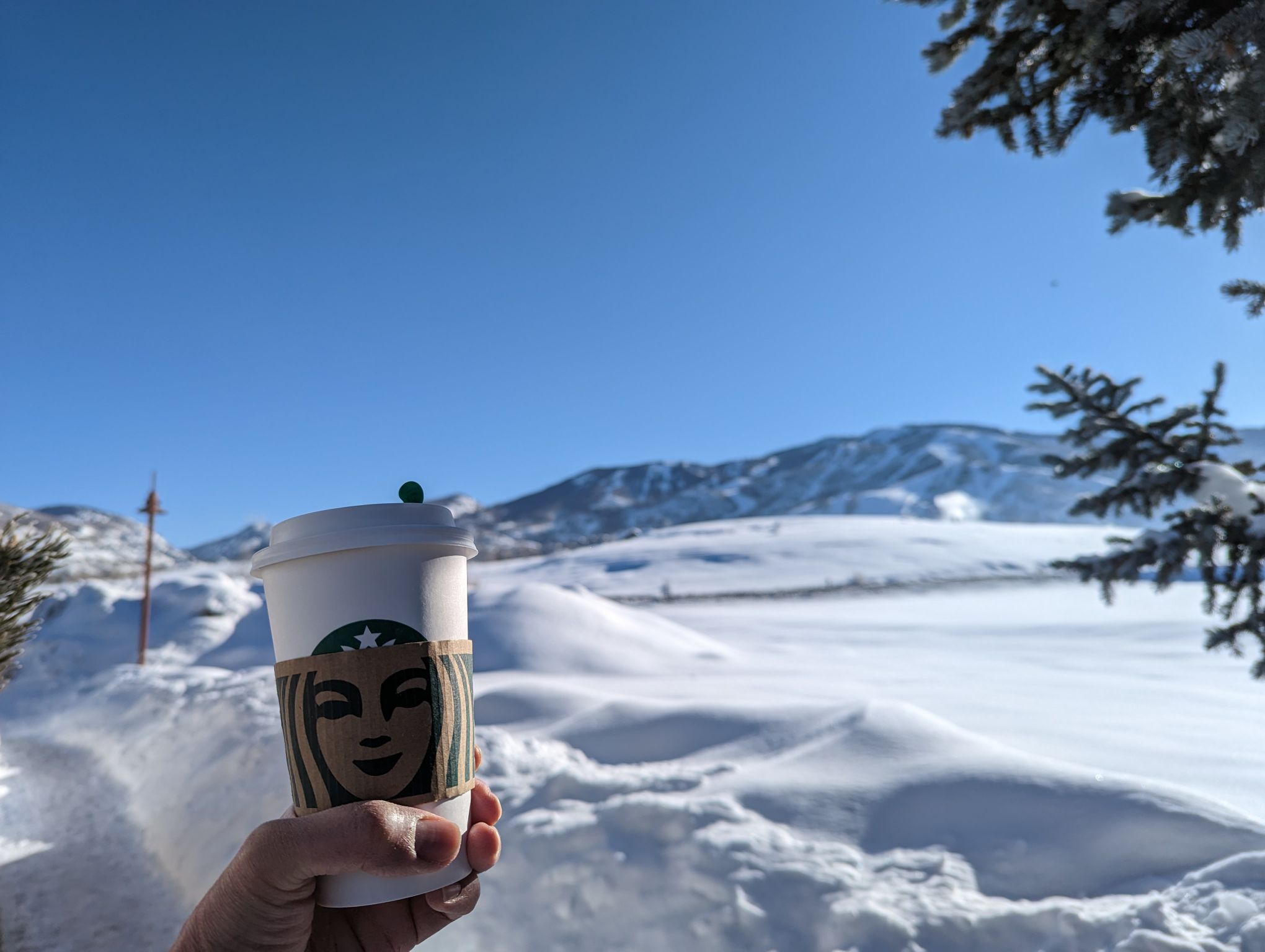 Drinking coffee on the first day of vacation