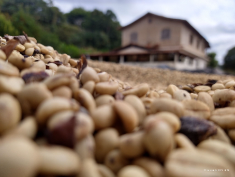 Coffee photo review barista cafe specialty coffee