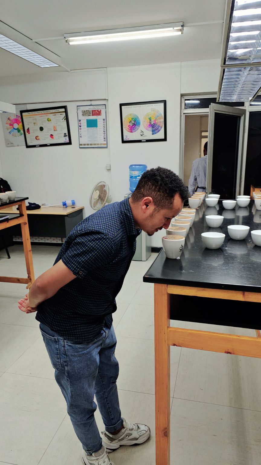 Cupping coffee from the origin of arabica coffee 🤎, Ethiopian 🇪🇹🇪🇹🇪🇹